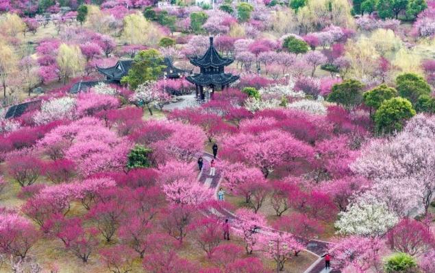 3.20旅游 风景图1.jpg